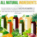 1-day-juice-cleanse-by-raw-fountain-all-natural-ra-4.jpg