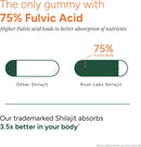 10-1-alpha-gummies-4000-mg-pure-himalayan-shilajit-i-ksm-66-ashwagandha-maca-root-tongkat-ali-75-fulvic-acid-no-sugar-gmo-free-i-clean-lab-certified-i-85-trace-minerals-60-pack-5