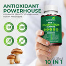 11-in-one-mushroom-complex-gummies---10x-mushroom--4.jpg