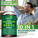 11-in-one-mushroom-complex-gummies---10x-mushroom--5.jpg