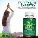11-in-one-mushroom-complex-gummies---10x-mushroom--6.jpg