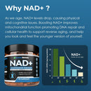 13510mg-nad-supplement--nicotinamide-riboside-resv-3.jpg