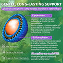 150mg-liposomal-sulforaphane-supplement-from-brocc-7.jpg
