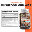 15in1-mushroom-gummies-with-lions-mane-turkey-tail-6.jpg