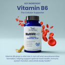 1md-nutrition-multivitmd-daily-multivitamin-19-ess-4.jpg