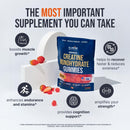 2-pack-creatine-monohydrate-gummies-5000-mg-fresh--4.jpg