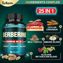 25in1-berberine-supplement---27000mg-per-serving-e-3.jpg