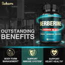 25in1-berberine-supplement---27000mg-per-serving-e-5.jpg