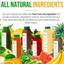 3-day-protein-juice-cleanse-by-raw-fountain-all-na-5.jpg