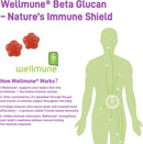 4-in1-immunity-gummies-with-ksm-66-ashwagandhavita-3.jpg