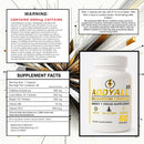 addyall-xr-mushroom-complex---adderall-alternative-6.jpg