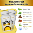 advanced-candida-cleanse---gut-balance-complex-wit-5.jpg