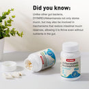 akkermansia-muciniphila-300-billion-afuincreases-g-3.jpg