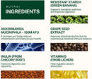 akkermansia-probiotic-150m-afu-gut-health-digestiv-6.jpg