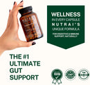 akkermansia-probiotic-150m-afu-gut-health-digestiv-7.jpg