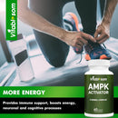 ampk-activator-supplement-5-in-1-jiaogulan-gynoste-4.jpg