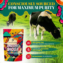 ancient-diosa-grass-fed-beef-liver-capsules---fema-7.jpg