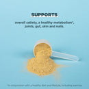 ancient-nutrition-bone-broth-protein-powder-tomato-8.jpg
