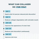 ancient-nutrition-multi-collagen-protein-powder-un-8.jpg