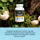 ancient-nutrition-regenerative-organic-certified-probiotics-for-gut-recovery-probiotics-gut-recovery-for-healthy-digestion-and-immune-system-function-support-50-billion-cfus-per-serving-60-count-4