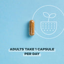 ancient-nutrition-regenerative-organic-certified-probiotics-daily-probiotics-once-daily-healthy-digestion-and-immune-system-function-support-25-billion-cfus-per-serving-30-count-4