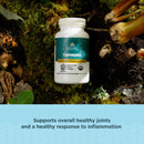 ancient-nutrition-regenerative-organic-certified-t-2.jpg