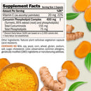 andrew-lessman-turmeric-400mg---120-capsules---95--2.jpg