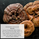 anima-mundi-apothecary-adaptogenic-7-mushroom-drop-5.jpg