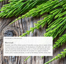 anima-mundi-apothecary-vegan-collagen-booster-powd-4.jpg