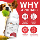 apocaps-cx-apoptogen-formula-for-dogs-90-capsules---supports-normal-levels-of-apoptosis-human-grade-ingredients-including-citrus-bioflavonoids-silymarin-curcumin-and-turmeric-biovadex-2