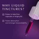 apothekary-mindcraft-tincture-cognition-focus-longevity-and-anti-aging-herbal-supplement-brain-health-support-vegan-30-servings-6