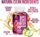 apple-cider-vinegar-gummies-sugar-free-1000mg-for-cleanse-acv-gummy-vitamin-b12-for-digestion-energy-immune-health-support-natural-premium-apple-raspberry-flavor-non-gmo-vegan---60-gummies-7