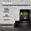 ascent-plant-protein-powder-iced-coffee-1-lb-creat-3.jpg