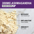 ashwagandha-protein-powder-24g-vanilla-protein-pow-4.jpg