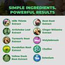 balance-one-liver-support-supplement-with-milk-thistle-extract-dandelion-root-molybdenum-natural-liver-cleanse-repair-detox-for-men-women---vegan-capsules-1-month-supply---liver-one-3