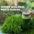 barley-grass-juice-powder-rich-in-vitamins-minerals-fibers-antioxidants-raw-clean-alkalizing-superfood-for-energy-immune-health-and-digestion---53-oz-2