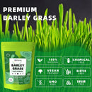 barley-grass-juice-powder-rich-in-vitamins-minerals-fibers-antioxidants-raw-clean-alkalizing-superfood-for-energy-immune-health-and-digestion---53-oz-3