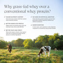 beam-grass-fed-whey-protein-powder-chocolate-peanu-5.jpg