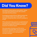 belle-bella-flora-restore-daily-probiotic---15-bil-6.jpg