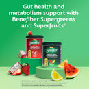 benefiber-prebiotic-fiber-supergreens-dietary-supp-2.jpg