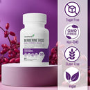 berberine-hci-500mg---with-ceylon-cinnamon-turmeric-milk-thistle-bitter-gourd-alpha-lipoic-acid---non-gmo-gluten-free-60-vegan-capsules-1