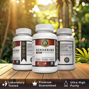 berberine-hcl-1200mg-premium-ultra-high-purity-pur-2.jpg