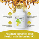 berberine-supplement-1200mg-berberine-hcl-suppleme-4.jpg