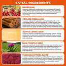 berberine-supplement-with-ceylon-cinnamon-chromium-alpha-lipoic-acid-metabolic-care-supports-metabolism-cardiovascular-health-and-immune-system-helps-maintain-steady-energy-levels-5