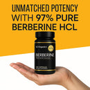berberine-with-ceylon-cinnamon-1200mg-60-capsules-97-purity--non-gmo-gluten-free-lab-tested-vegan-berberine-supplement-2