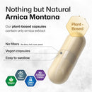 bio-krauter-arnica-montana-capsules---500-mg-arnica-capsules-for-bruising-and-swelling---vegan---100-count-4
