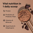 bodi-shakeology-plant-based-protein-powder-blend-g-4.jpg