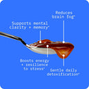 bodybio-pc---phosphatidylcholine-for-brain-health-mental-clarity-cognitive-function-cellular-repair-healthy-aging-phosholid-complex-supplement-for-gentle-daily-detox-2