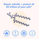 bodybio-pc---phosphatidylcholine-for-brain-health-mental-clarity-cognitive-function-cellular-repair-healthy-aging-phosholid-complex-supplement-for-gentle-daily-detox-3
