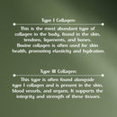 bovine-collagen-capsules-for-men-and-women-type-i--4.jpg